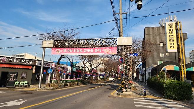 아직 벚꽃이 피지 않은 전농로 왕벚꽃 축제장.