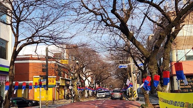 아직 벚꽃이 피지 않은 전농로 왕벚꽃 축제장.