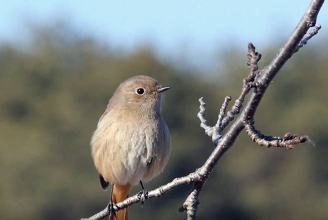 국립생물자원관