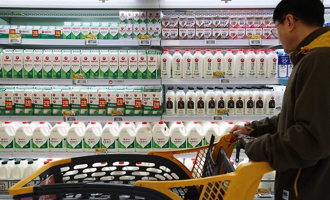 서울 시내의 한 대형마트에서 고객이 우유를 고르고 있다. /사진=뉴스1