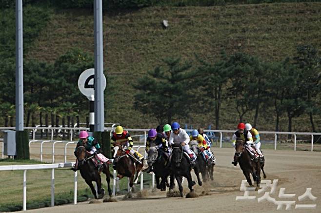 제주경마공원. 제주CBS