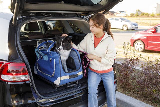 반려동물을 안고 운전하는 것은 위험하므로 전용 카시트나 이동장을 사용해야 한다. 클립아트코리아