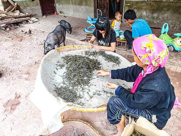 주민의 30%만 차로 돈을 벌 수 있어 부의 편차가 심한 과펑짜이에서 차를 선별하는 모녀.