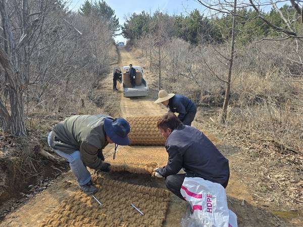 인천 옹진군 승봉도 주민들이 섬 내 둘레길에 직접 구입한 야자매트를 설치하고 있다. /승봉도 관광발전협의회 제공