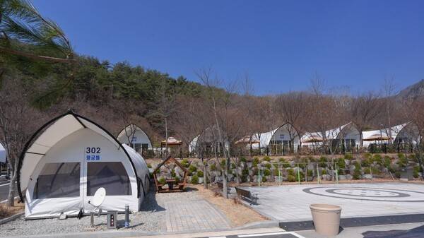글램핑 시설 전경.