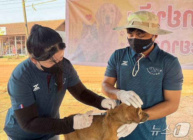 국경없는 수의사회 라오스지부는 광견병 제로 프로젝트를 진행했다(수의사회 제공). ⓒ 뉴스1