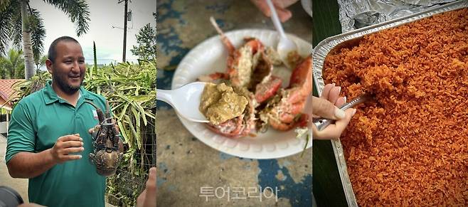 코코넛크랩을 손질하는 모습(왼쪽), 내장을 맛보는 장면(가운데), 차모로식 레드라이스(오른쪽)./ 사진- 박은하 기자
