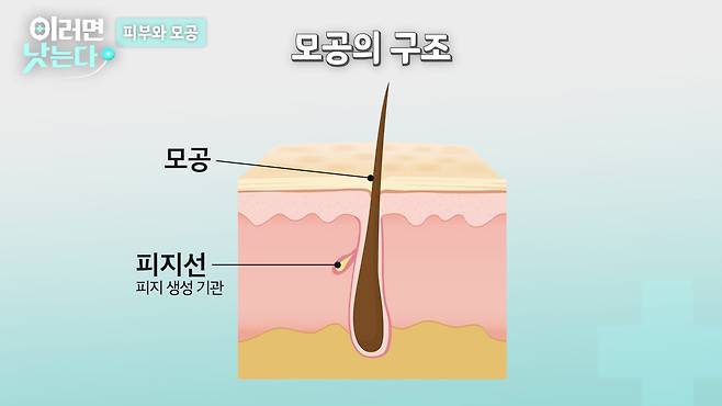 /조선일보 의학·건강 유튜브 '이러면 낫는다'