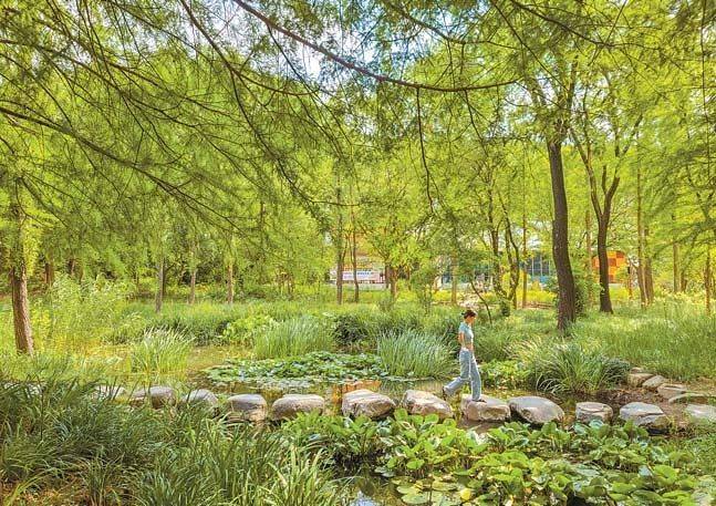 따스한 남풍이 불어오는 봄, 대구는 그 어느 도시보다 화려한 꽃의 향연을 준비하고 있다. [사진 대구시]