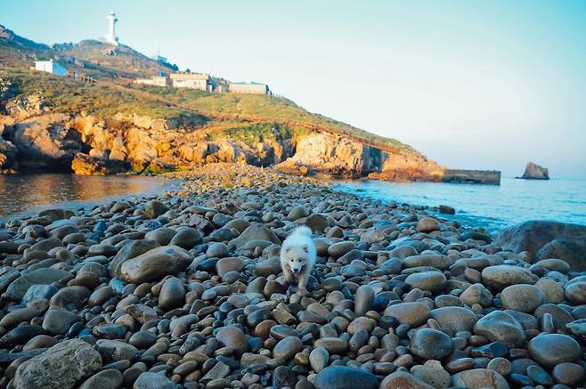소매물도 풍경 [김울프 작가 제공]