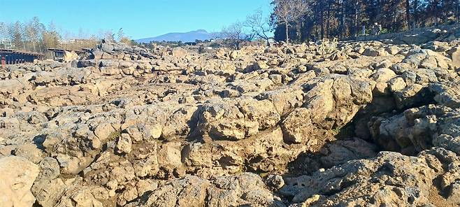 파호이호이 라바필드 파크 제주의 전경. 저 멀리 한라산 정상이 보이는 경관 또한 아름답다. ⓒ제주의소리