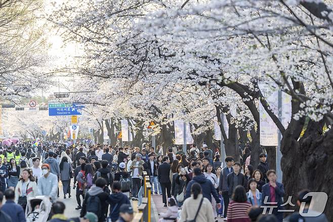 지난해 여의도 벚꽃축제 현장.(영등포구 제공)