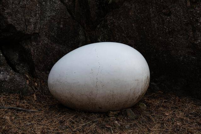 연미산자연미술공원에 전시된 황성준 작가의 '징의 여정'.