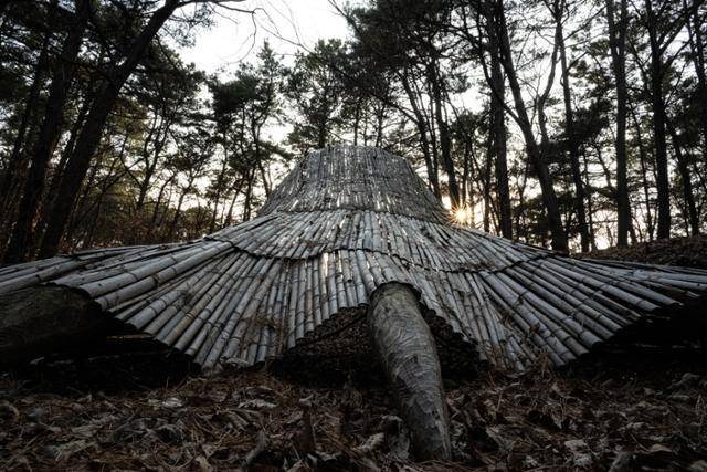 피터 팔 작가의 '곰 발 셸터'.