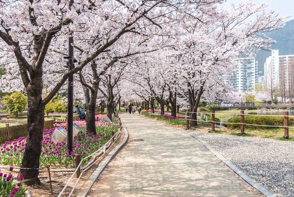 김해 연지공원. /김해시