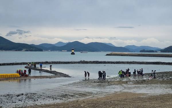 지난해 10월 통영시의회 의원 연구단체인 '기후변화 대응 해양생태계 보전 연구회'가 통영시 용남면 선촌마을 해양보호구역 잘피이식 활동을 벌이고 있다. /통영시