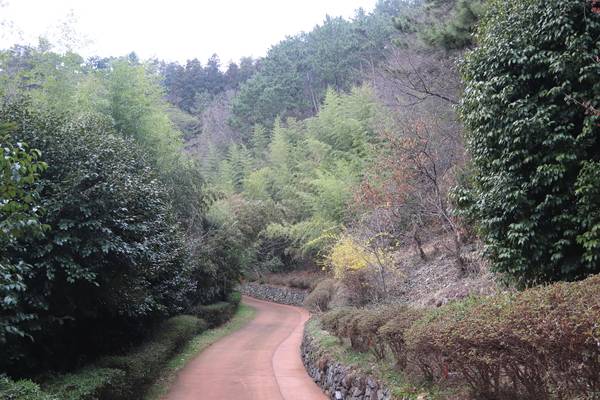 통영생태숲 산책로. /이서후 기자