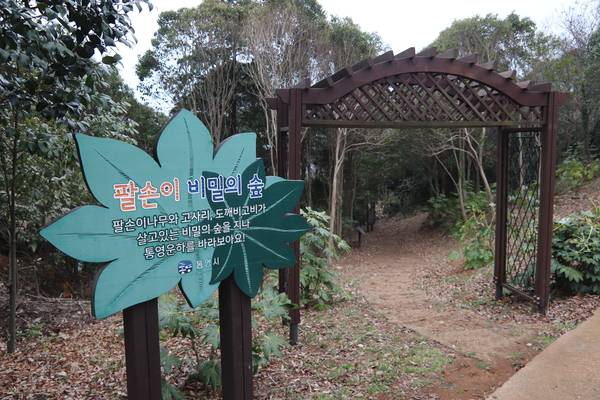 통영생태숲 산책로. /이서후 기자