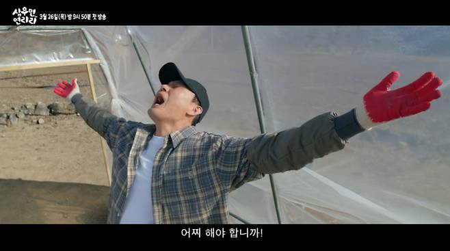 '심우면연리리' 등장인물 관계도, 출연진, 몇부작, OTT 정리