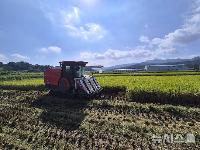 [음성=뉴시스] 지난해 8월22일 충북 음성군 감곡면 오궁리 신희섭씨 논에서 트랙터가 벼를 베고 있다. 이는 음성지역 올해 첫 벼베기로, 지난 4월20일 첫 모내기 후 125일 만의 수확이다. (사진=음성군 제공) 2025.08.22. photo@newsis.com