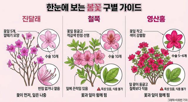 기사의 내용을 바탕으로 생성한 이미지. 챗GPT·클로드·미리캔버스