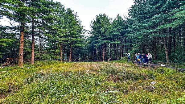 람사르 습지로 지정된 정령치 습지. 규모는 작지만 생태적 가치는 크다.