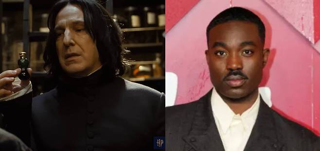 유튜브 'Harry Potter',  'The Hollywood Reporter'