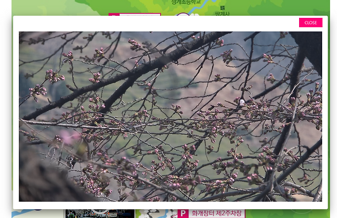 하동군청 실시간 모니터링 영상 캡쳐. 하동군 제공