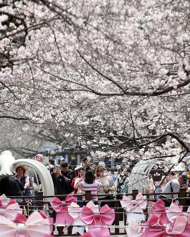 전국 최대 벚꽃 축제인 '제64회 진해군항제'가 개막한 27일 경남 창원 진해구 여좌천을 찾은 관광객들이 벚꽃을 감상하고 있다. 제64회 진해군항제는 이날부터 4월 5일까지 10일간 진해구 전역에서 진행된다. 2026.3.27 ⓒ 뉴스1 윤일지 기자