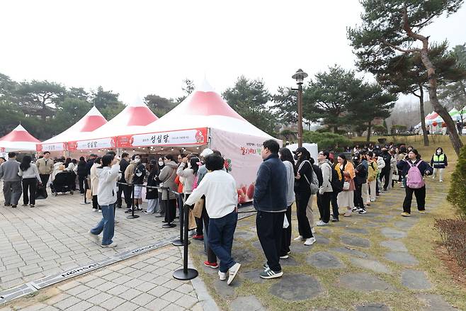 2026 논산딸기축제장을 찾은 관람객들이 성심당 빵을 구입하려고 줄을 서서 기다리고 있다. 정종만 기자