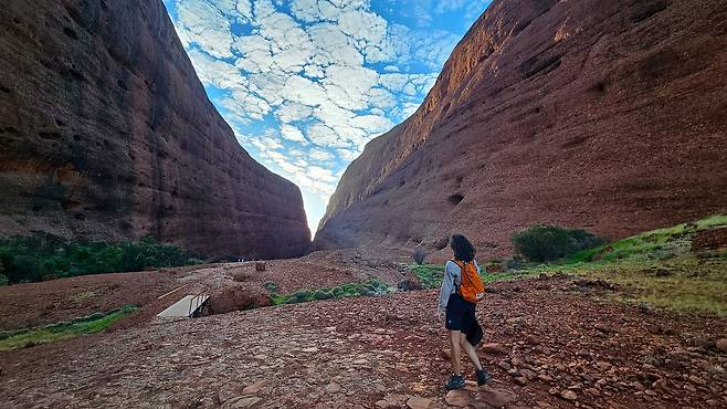 카타추타 왈파 고지 트레킹 장면.