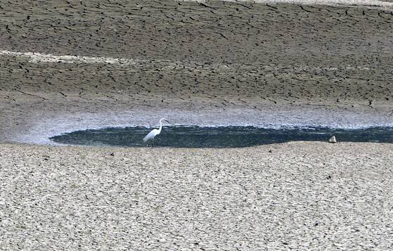 2017년 가뭄으로 바닥을 드러낸 보령댐. 중앙포토