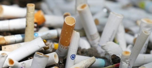 담배 [연합뉴스]