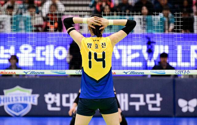 현대건설 양효진이 블로킹을 준비하고 있다 / 한국배구연맹(KOVO)