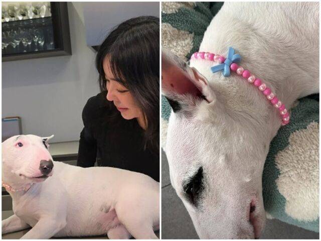 이혜영./소셜미디어