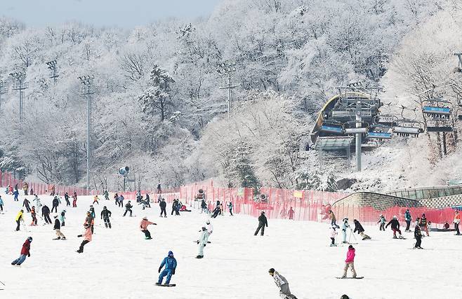 강원도의 한 스키장 전경 &copy;연합뉴스