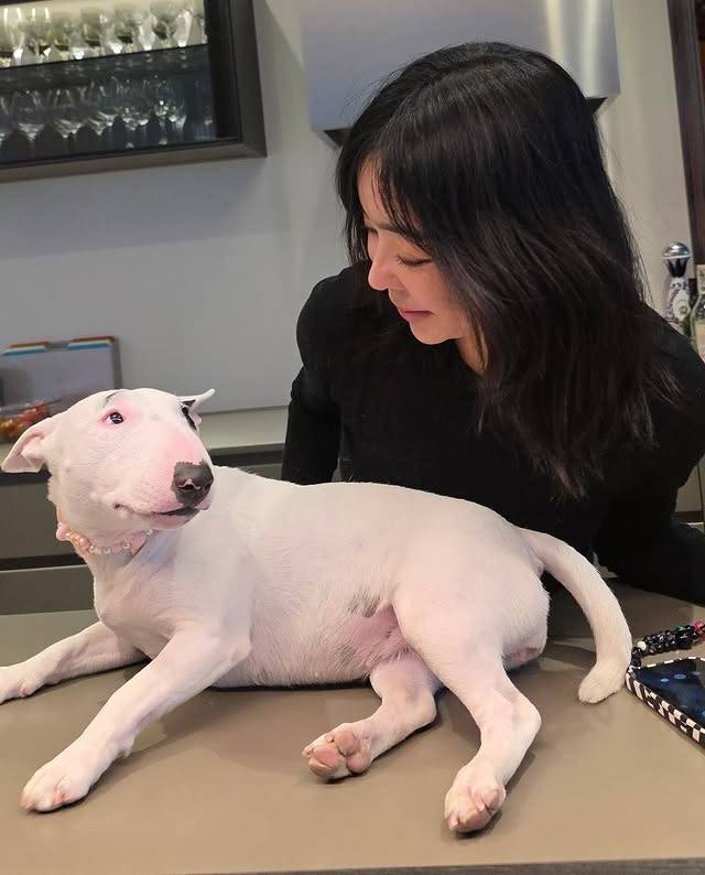 /사진=이혜영 개인계정