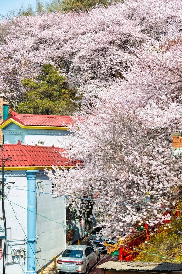 ⓒ인천시