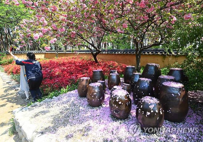 허균허난설헌 기념공원의 봄 풍경 [연합뉴스 자료사진]