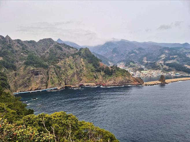경북 울릉군 울릉읍 저동항 전경. 홍준기 기자