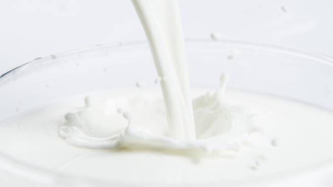 저지방 우유 섭취와 혈압 감소 사이의 연관성이 있다는 연구 결과가 있다|출처: 클립아트코리아