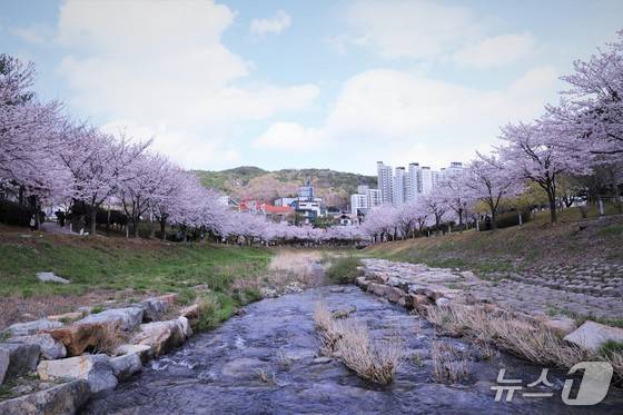 김해 율하천.(김해시 제공. 재판매 및 DB금지)