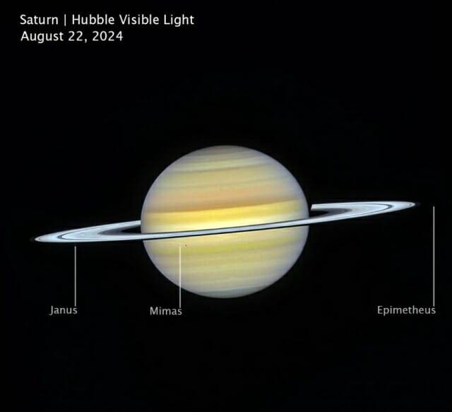 2024년 8월 22일 NASA의 허블 우주 망원경이 촬영한 가시광선 이미지. 토성의 부드러운 줄무늬 대기와 밝은 고리 시스템을 보여준다. (이미지= NASA, ESA, CSA, STScI, Amy Simon (NASA-GSFC), Michael Wong (UC Berkeley))