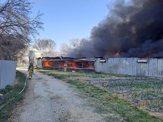 28일 오전 11시28분께 전북 부안군 주산면의 양계장에서 불이 나 소방대원들이 출동해있다./전북소방본부