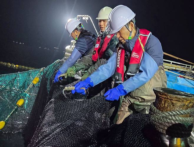 정청래 더불어민주당 대표가 28일 새벽 경북 영덕 앞바다에서 조업에 참여해 물고기로 가득 찬 어망을 끌어 올리고 있다. [국회기자단 공동취재]