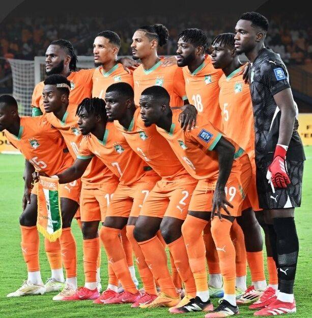 코트디부아르 대표팀/코트디부아르 축구협회