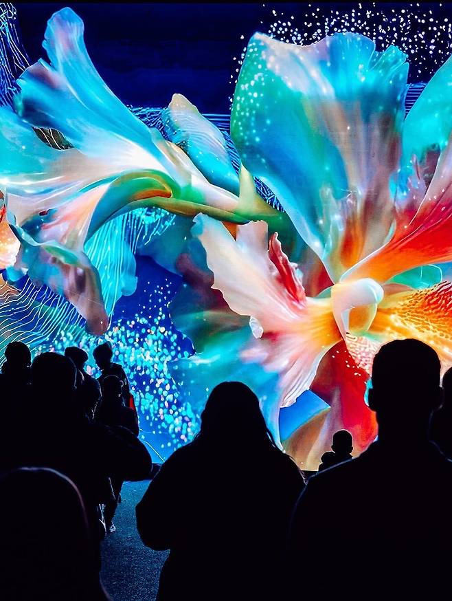 메드베드니차(Medvednica) 산에서 자생하는 희귀 보호종 난초인 오프리스 속의 바느질꽃란들을 현대적인 빛과 데이터의 언어로 재해석했다. 인공지능(AI)은 난초의 우아한 형상을 수많은 입자와 빛의 흐름으로 치환하였으며, 이는 관람객의 움직임과 존재에 실시간으로 반응하며 디지털 꽃망울을 터뜨렸다. 첨단 기술로 구현된 이 눈부신 시각적 경험은 우리 곁에 현존하는 메드베드니차의 자연적 가치와 이를 보존해야 한다는 메시지를 관람객들에게 깊이 있게 전달했다. 사진제공|CNTB