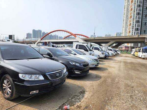 27일 오전 송도 달빛축제공원역 인근 임시주차장에 번호판이 없는 수출용들이 주차돼 있다.