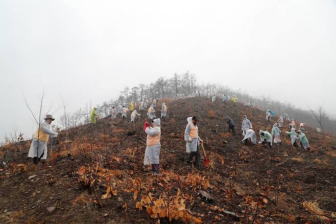 안동 산불 피해지에서 복구 작업이 진행되고 있다. /안동시 제공