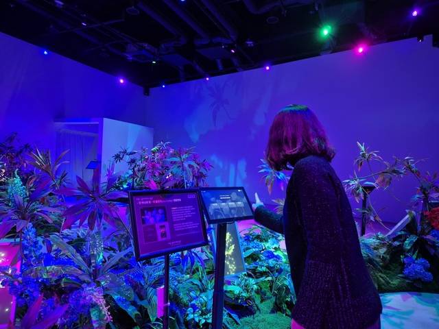 빛의 정원으로 조성한 체험공간. 경주시 제공